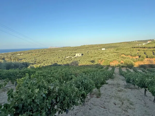 Sea-View 3,800 m² Plot of Land for Sale in Xamoudochori, Platanias — photo 3