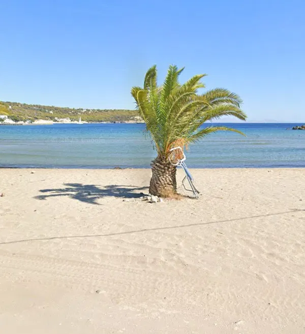 Sea-View 16,207 m² Land for Sale in Aegina, Argosaronikos islands — photo 2