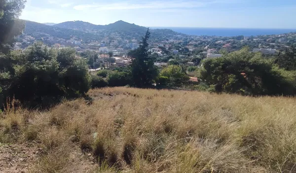 1,300 m² Plot of Land for Sale in Koropi, Athens Eastern Suburbs — photo 3