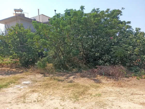 565 m² Plot for Sale in Kasteli Kissamos, Kissamos — photo 5