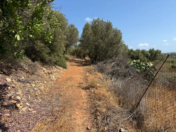 7,544 m² Land for Sale in Galatas, Chania — photo 5