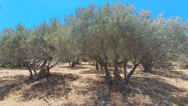 Sea-View 500 m² Land for Sale in Plaka Apokoronas, Apokoronas — photo 4
