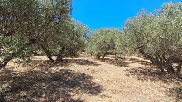 Sea-View 1,000 m² Land for Sale in Plaka Apokoronas, Apokoronas — photo 5