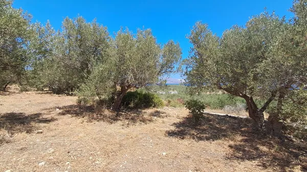 Sea-View 1,000 m² Land for Sale in Plaka Apokoronas, Apokoronas — photo 4