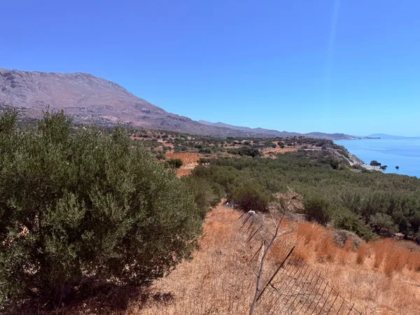 Sea-View 4,800 m² Land for Sale in Kerames, Agios Vassilios — photo 3