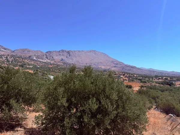 Sea-View 4,800 m² Land for Sale in Kerames, Agios Vassilios — photo 2