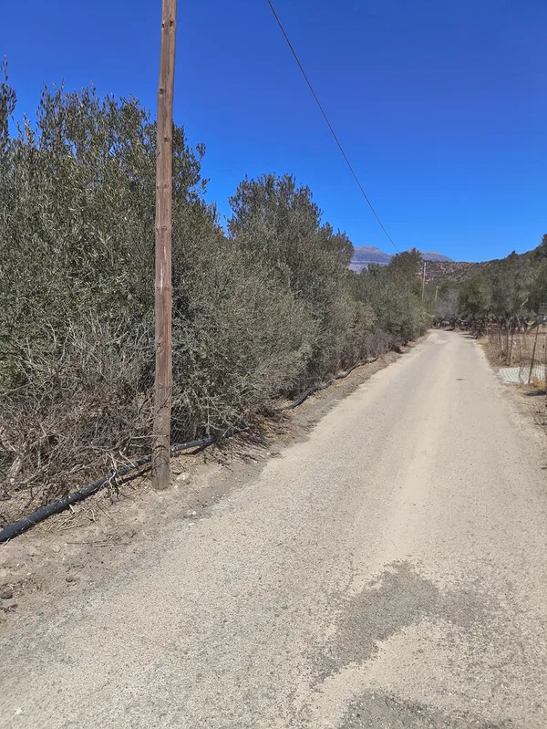 6,547 m² Land for Sale in Agia Galini, Agios Vassilios — photo 5