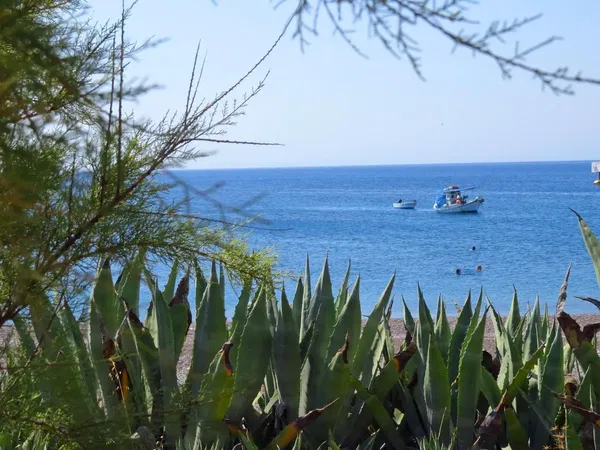 Sea-View Hotel for Sale in Southern Rhodes, Rhodes — photo 4