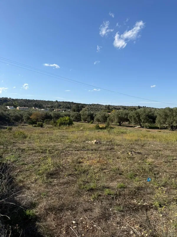 Plot of Land for Sale in Vamos, Apokoronas — photo 2