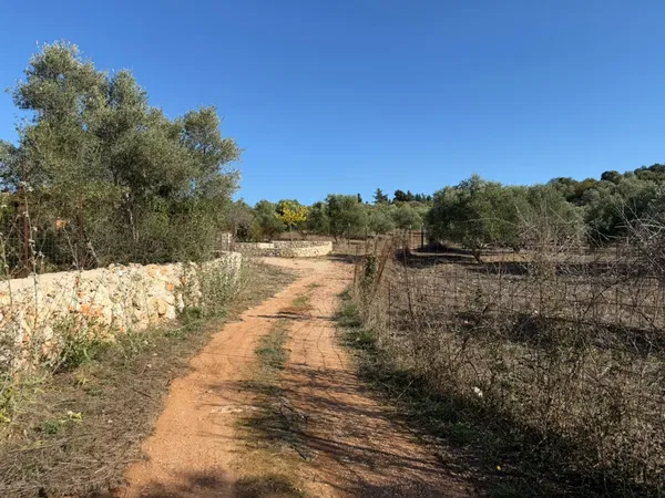 Land for Sale in Vamos, Apokoronas