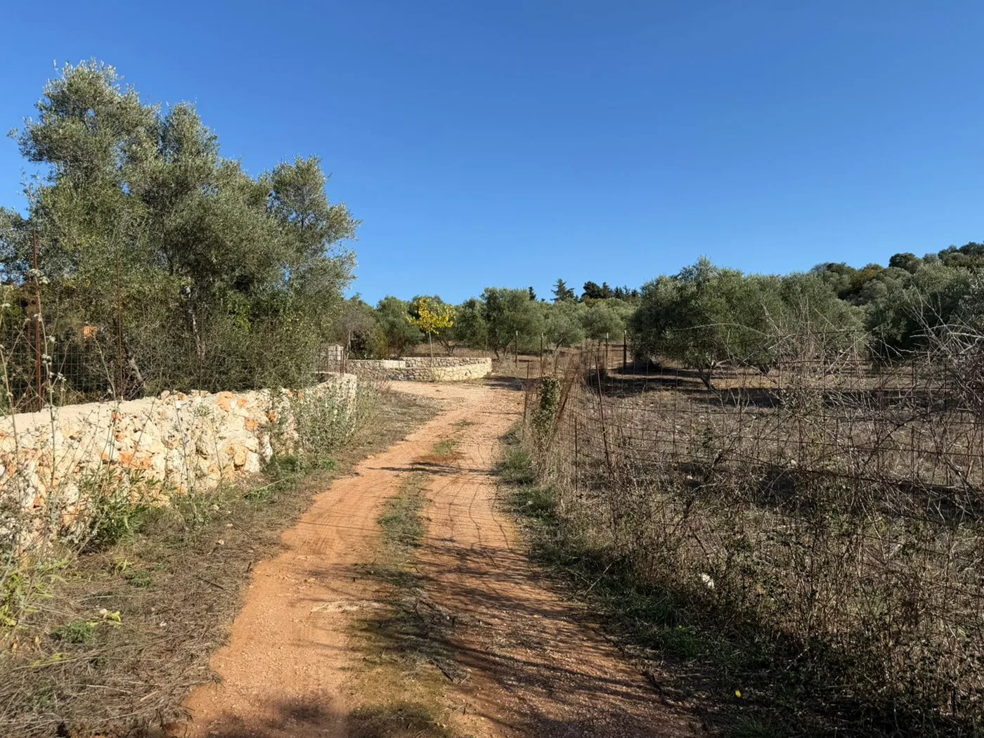 Land for Sale in Vamos, Apokoronas
