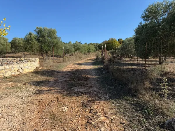 Land for Sale in Vamos, Apokoronas — photo 3