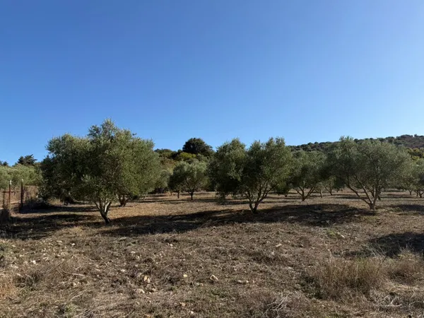 Land for Sale in Vamos, Apokoronas — photo 2