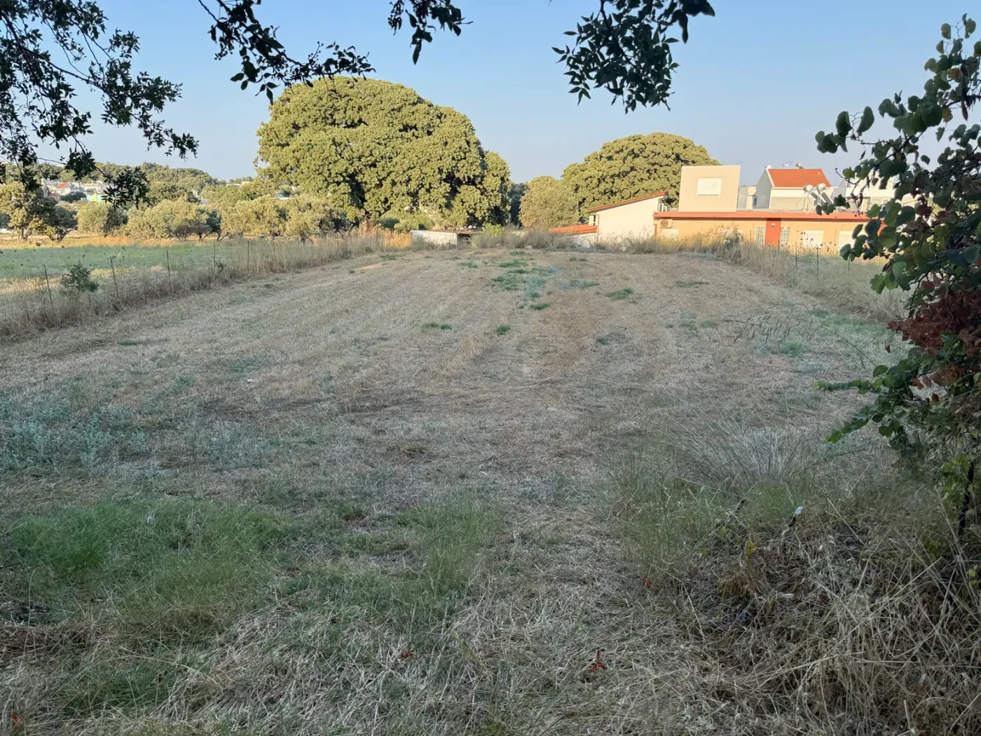 Plot of Land for Sale in Rhodes, Dodecanese Islands