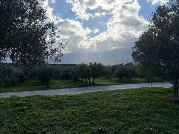1,730 m² Land for Sale in Apokoronas, Chania — photo 4