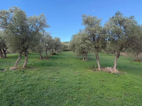 1,730 m² Land for Sale in Apokoronas, Chania