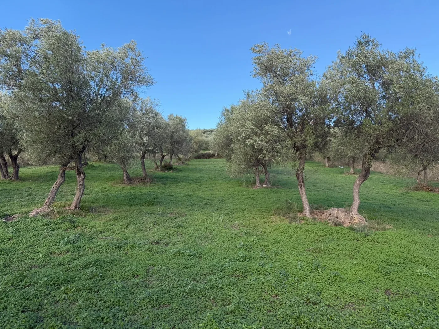 1,730 m² Land for Sale in Apokoronas, Chania
