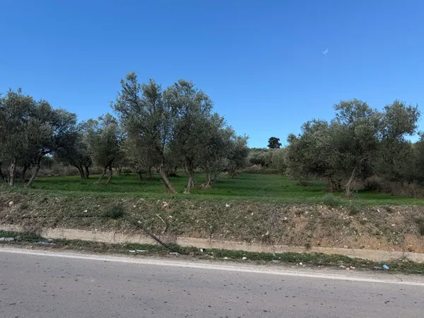 1,730 m² Land for Sale in Apokoronas, Chania — photo 2