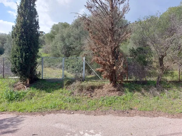 1,030 m² Plot for Sale in Marathonas, Athens Eastern Suburbs