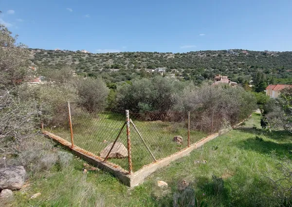 1,030 m² Plot for Sale in Marathonas, Athens Eastern Suburbs — photo 5