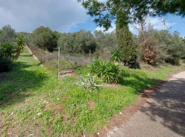 1,030 m² Plot for Sale in Marathonas, Athens Eastern Suburbs — photo 4