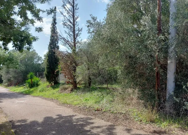 1,030 m² Plot for Sale in Marathonas, Athens Eastern Suburbs — photo 2