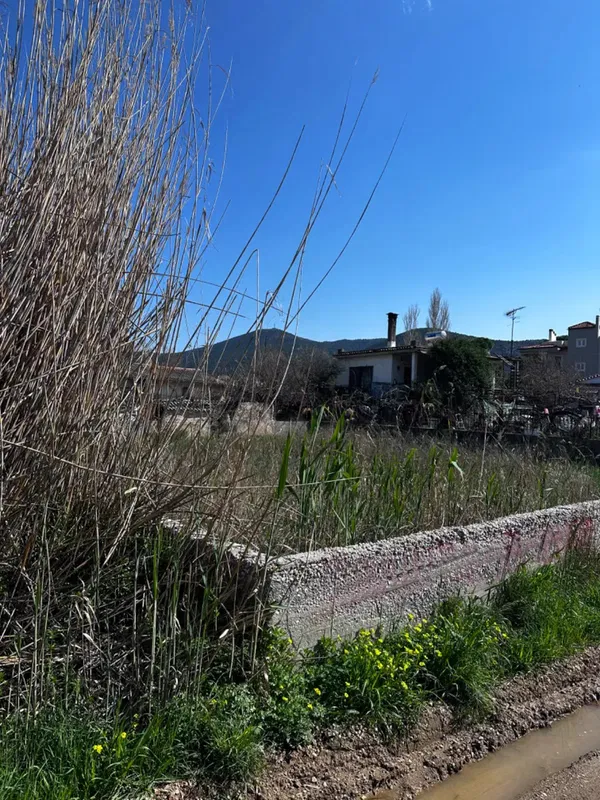 Seafront Villa for Sale in Porto Rafti, Attica — photo 4