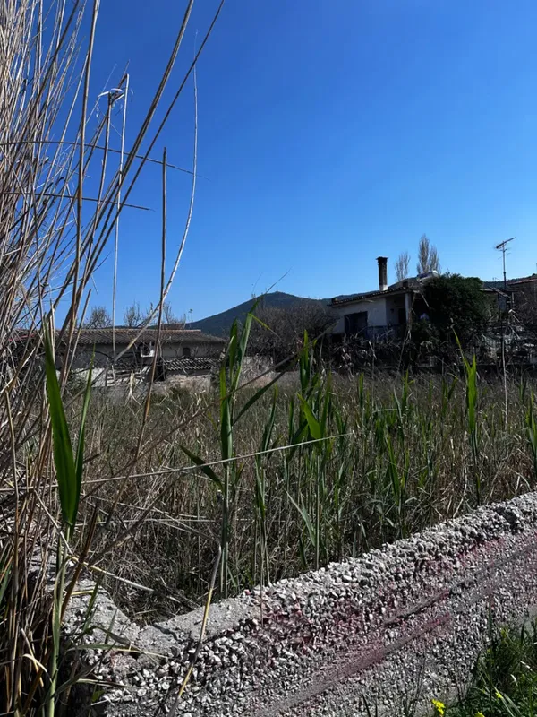 Seafront Villa for Sale in Porto Rafti, Attica — photo 3
