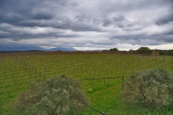 23,172 m² Plot for Sale in Heraklion — photo 2