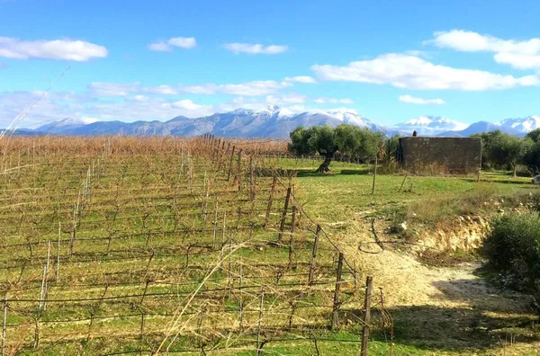 23,172 m² Plot for Sale in Heraklion