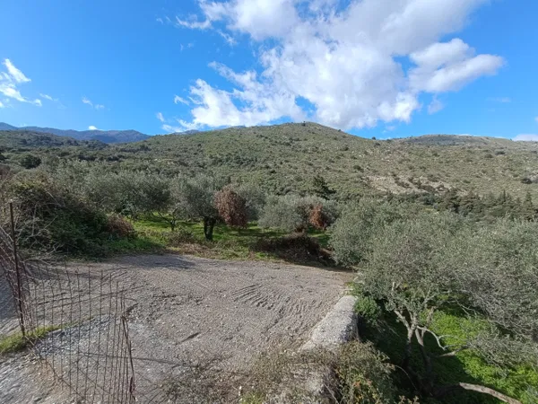 1,520 m² Plot of Land for Sale in Tzitzifes, Apokoronas — photo 2