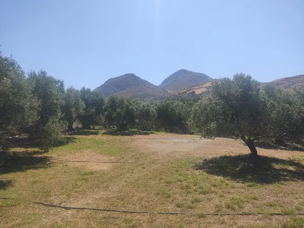 4,962 m² Land for Sale in Lefkogia, Rethymnon