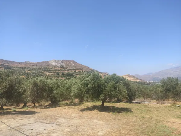4,962 m² Land for Sale in Lefkogia, Rethymnon — photo 2