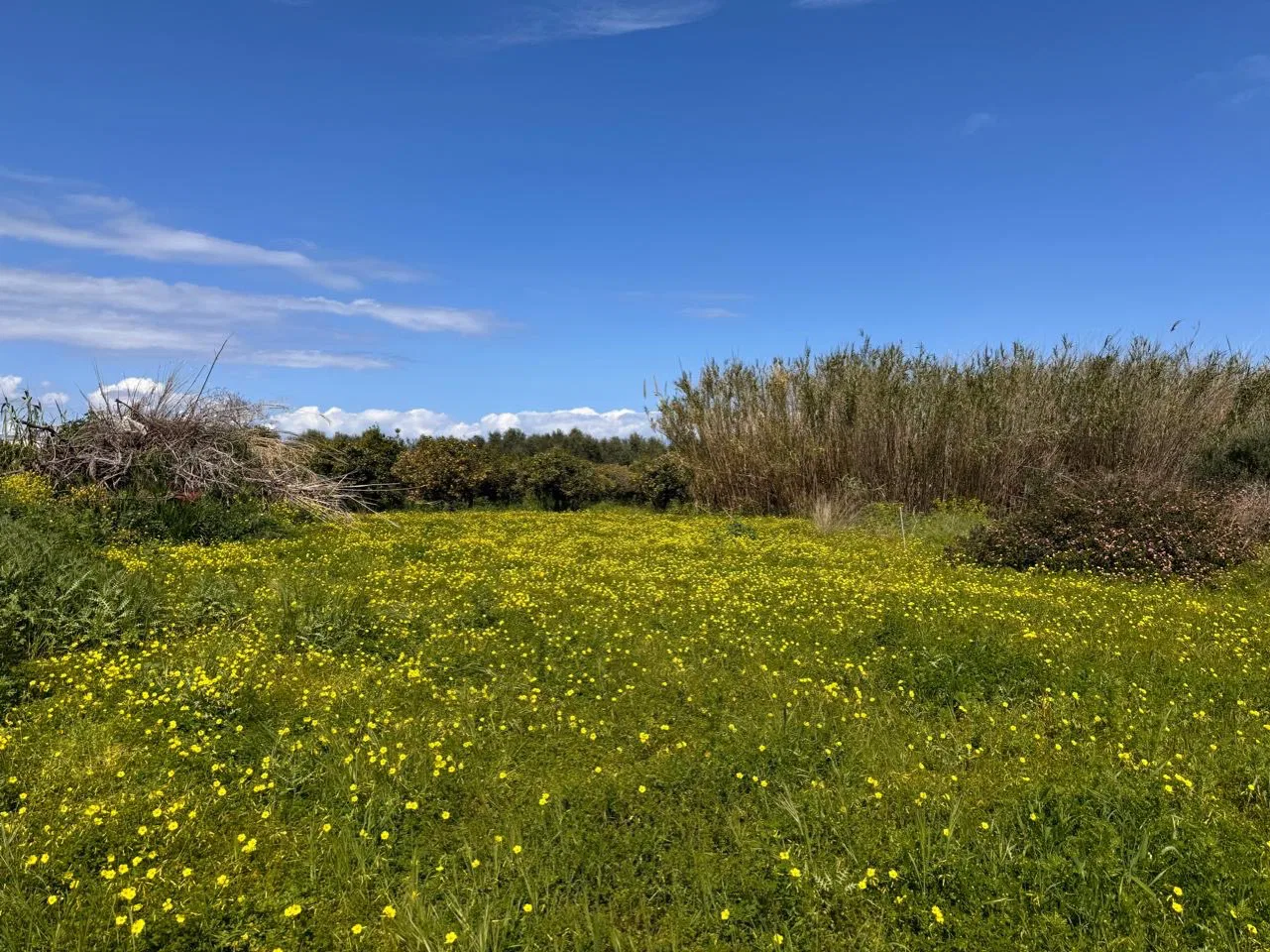 Seafront 1,344 m² Plot for Sale in Tavronitis, Platanias