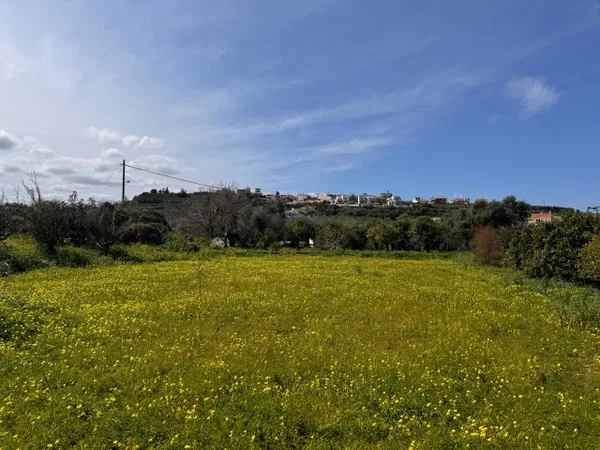Seafront 1,344 m² Plot for Sale in Tavronitis, Platanias — photo 4