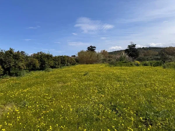 Seafront 1,344 m² Plot for Sale in Tavronitis, Platanias — photo 2