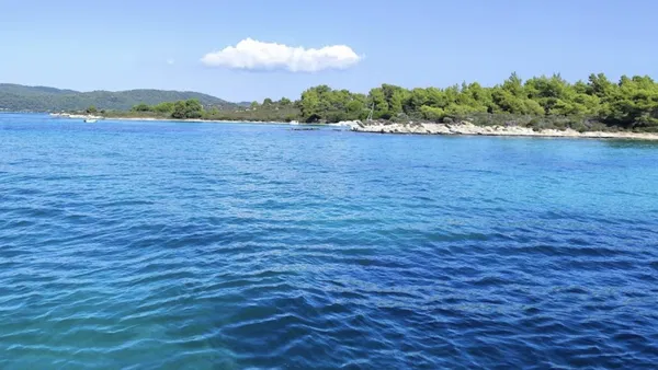 46,056 m² Land for Sale in Halkidiki — photo 5