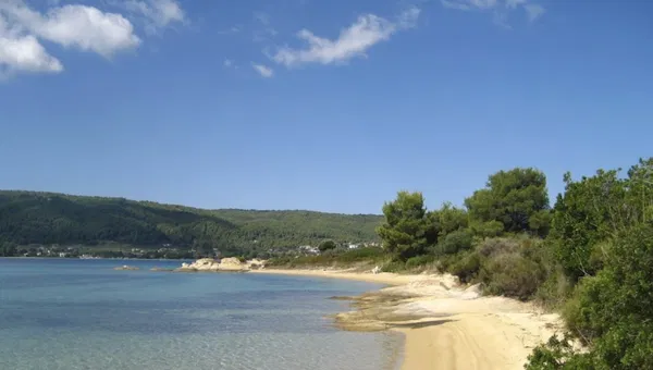 46,056 m² Land for Sale in Halkidiki — photo 4