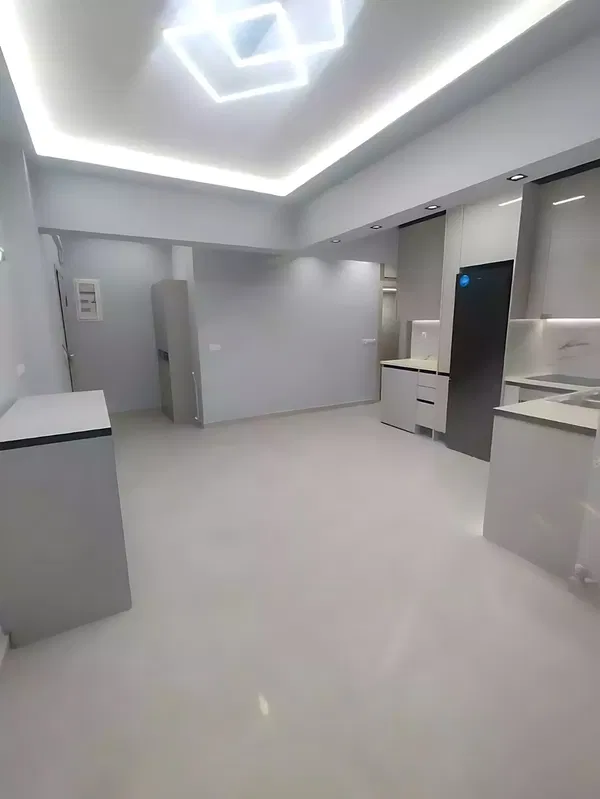 55 m² One-Bedroom Renovated Apartment for Sale in Ampelokipoi, Athens Center — photo 3