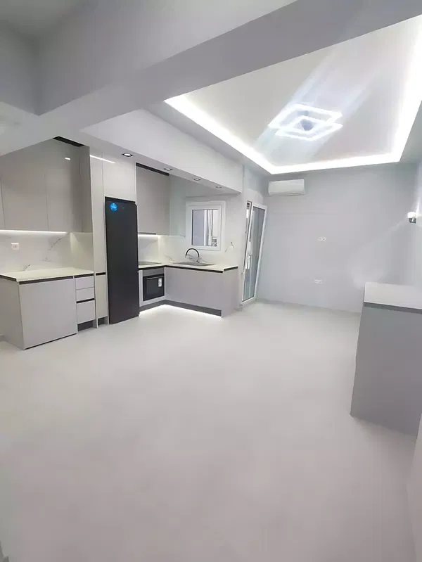 55 m² One-Bedroom Renovated Apartment for Sale in Ampelokipoi, Athens Center