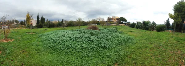 820 m² Land for Sale in Pallini, Athens Eastern Suburbs