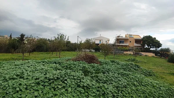 820 m² Land for Sale in Pallini, Athens Eastern Suburbs — photo 2