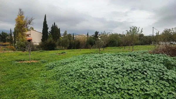 820 m² Land for Sale in Pallini, Athens Eastern Suburbs — photo 3