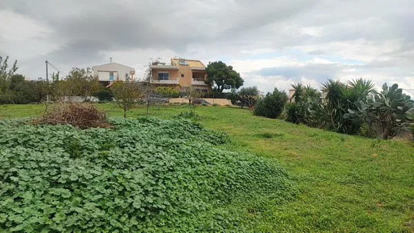 820 m² Land for Sale in Pallini, Athens Eastern Suburbs — photo 4