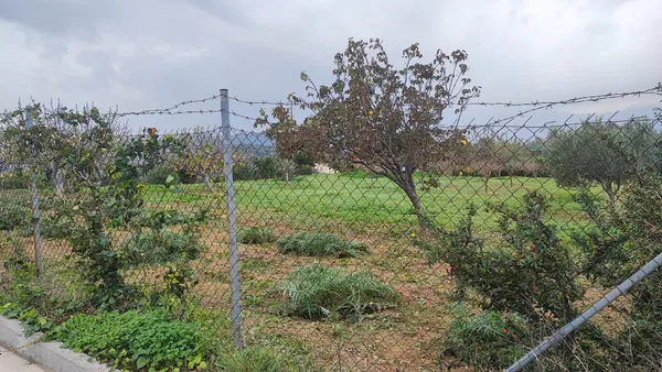 810 m² Plot for Sale in Pallini, Athens Eastern Suburbs — photo 2