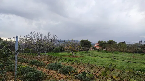 810 m² Plot for Sale in Pallini, Athens Eastern Suburbs — photo 3
