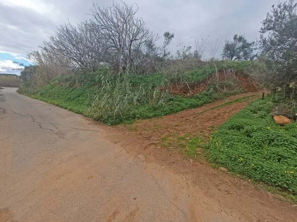 Seafront 4,202 m² Plot of Land for Sale in Maleme, Platanias — photo 3