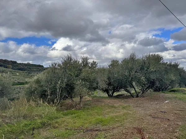 Sea-View 2,600 m² Plot for Sale in Xamoudochori, Platanias — photo 2