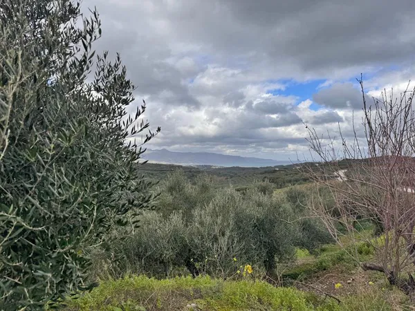 Sea-View 2,600 m² Plot for Sale in Xamoudochori, Platanias — photo 3