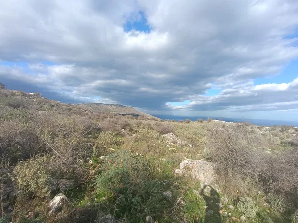 Sea-View 2,440 m² Plot of Land for Sale in Kefalas, Apokoronas — photo 2
